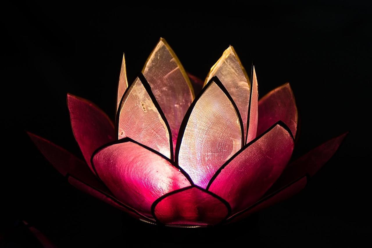 Pink Lotus Apartment فيينا المظهر الخارجي الصورة